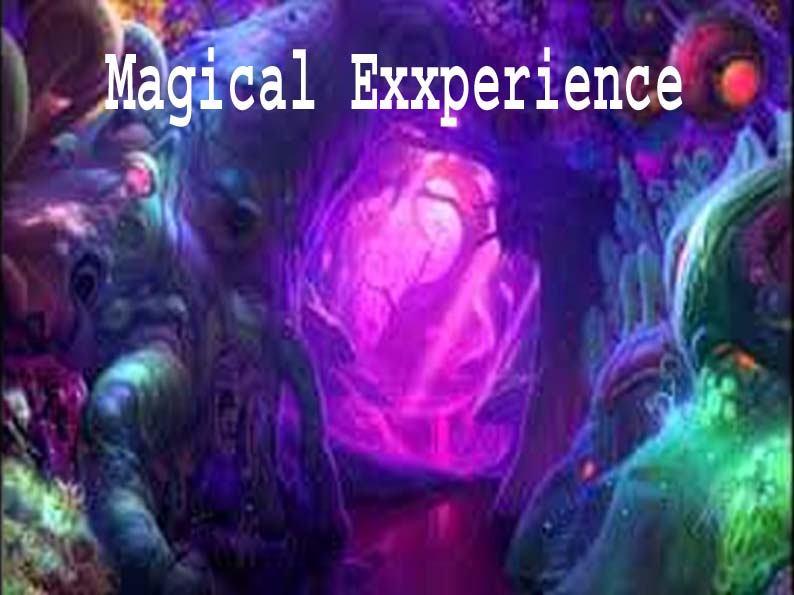 Magical Exxperience